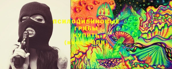 прущая мука Алзамай