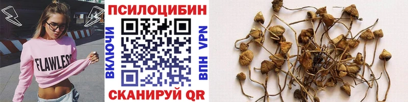 Псилоцибиновые грибы Cubensis  закладки  Нижний Тагил 